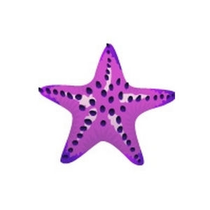 Raisin Starfish